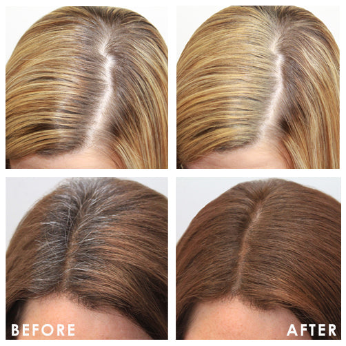 Aging Collection Root Touch-Up & Hair Color 4-Pack